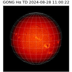 gong - 2024-08-28T11:00:22