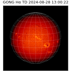 gong - 2024-08-28T13:00:22