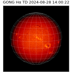 gong - 2024-08-28T14:00:22