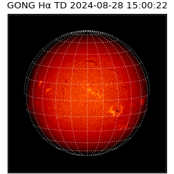 gong - 2024-08-28T15:00:22