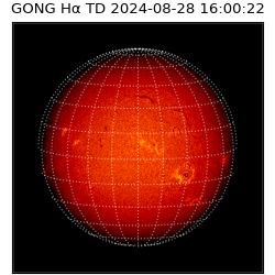 gong - 2024-08-28T16:00:22