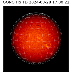 gong - 2024-08-28T17:00:22