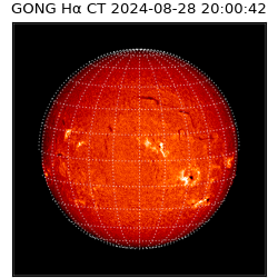 gong - 2024-08-28T20:00:42
