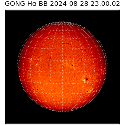 gong - 2024-08-28T23:00:02