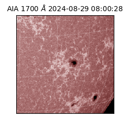 saia - 2024-08-29T08:00:28.718000