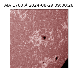 saia - 2024-08-29T09:00:28.718000