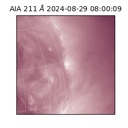 saia - 2024-08-29T08:00:09.626000