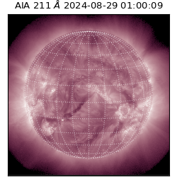saia - 2024-08-29T01:00:09.630000