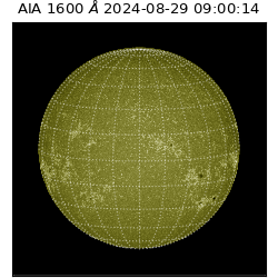 saia - 2024-08-29T09:00:14.125000