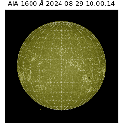 saia - 2024-08-29T10:00:14.130000
