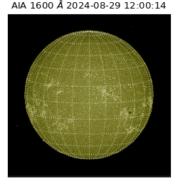 saia - 2024-08-29T12:00:14.125000