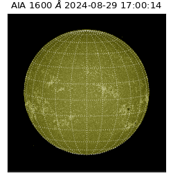 saia - 2024-08-29T17:00:14.125000