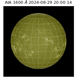 saia - 2024-08-29T20:00:14.126000