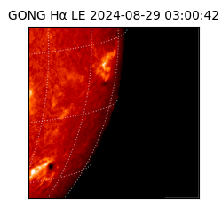 gong - 2024-08-29T03:00:42