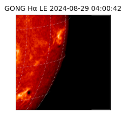 gong - 2024-08-29T04:00:42