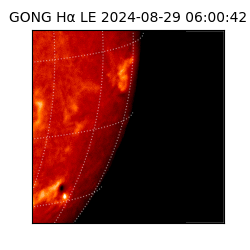 gong - 2024-08-29T06:00:42