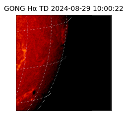 gong - 2024-08-29T10:00:22