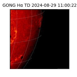 gong - 2024-08-29T11:00:22