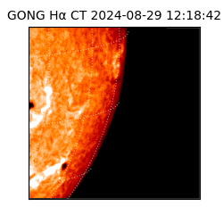 gong - 2024-08-29T12:18:42