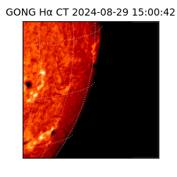 gong - 2024-08-29T15:00:42