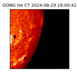 gong - 2024-08-29T18:00:42