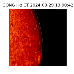 gong - 2024-08-29T13:00:42