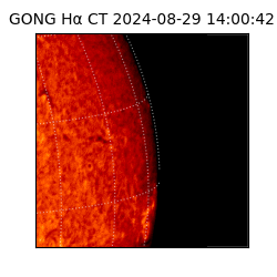 gong - 2024-08-29T14:00:42