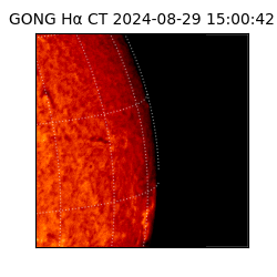 gong - 2024-08-29T15:00:42