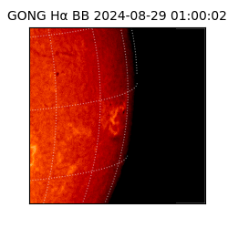 gong - 2024-08-29T01:00:02