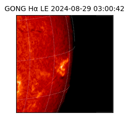 gong - 2024-08-29T03:00:42