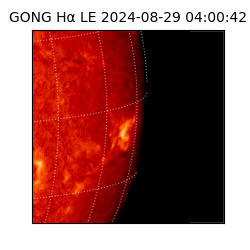 gong - 2024-08-29T04:00:42