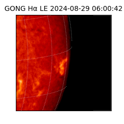 gong - 2024-08-29T06:00:42