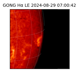 gong - 2024-08-29T07:00:42