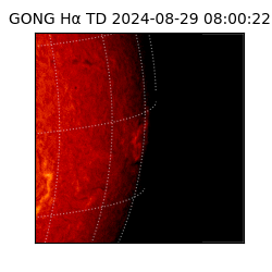 gong - 2024-08-29T08:00:22