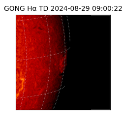 gong - 2024-08-29T09:00:22