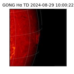 gong - 2024-08-29T10:00:22