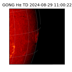 gong - 2024-08-29T11:00:22