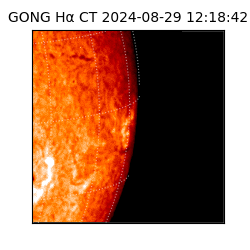 gong - 2024-08-29T12:18:42