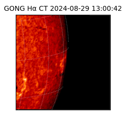 gong - 2024-08-29T13:00:42