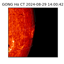 gong - 2024-08-29T14:00:42