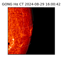 gong - 2024-08-29T16:00:42