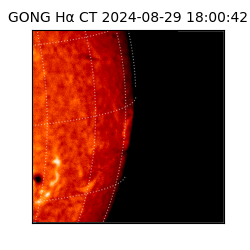 gong - 2024-08-29T18:00:42