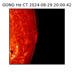 gong - 2024-08-29T20:00:42