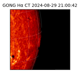 gong - 2024-08-29T21:00:42