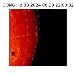 gong - 2024-08-29T22:00:02