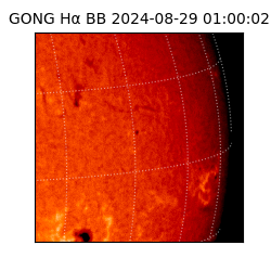 gong - 2024-08-29T01:00:02