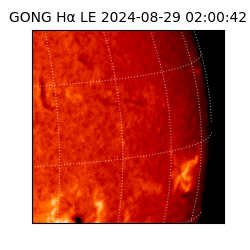 gong - 2024-08-29T02:00:42