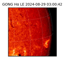 gong - 2024-08-29T03:00:42