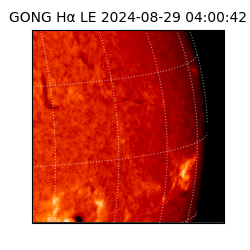 gong - 2024-08-29T04:00:42