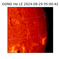 gong - 2024-08-29T05:00:42